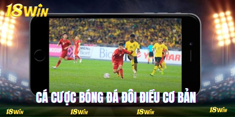 Tổng quan cá cược bóng đá và loại kèo phổ biến nhất